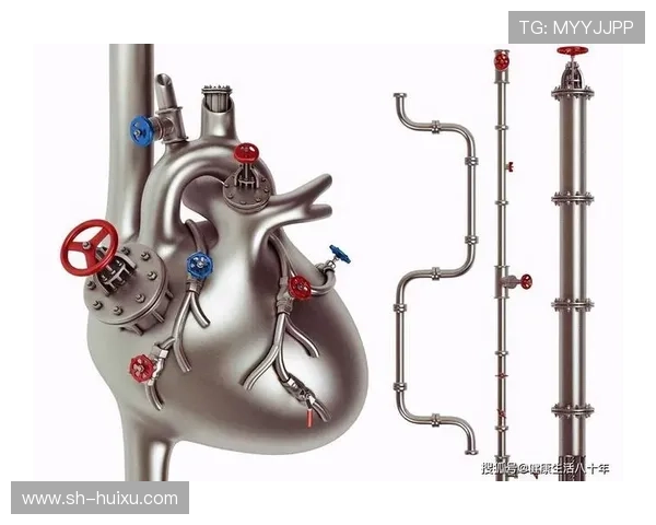 迅速调整状态的大心脏后场新援能否抓住留队机会成焦点