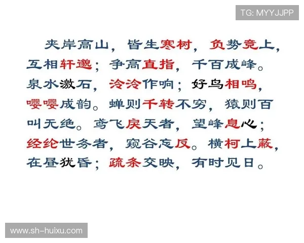 澳波豪言终成笑谈八战皆负提前下课誓言举杯成空梦